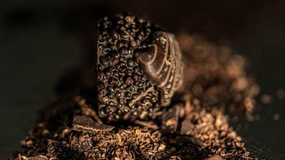 Comment acheter des truffes ?