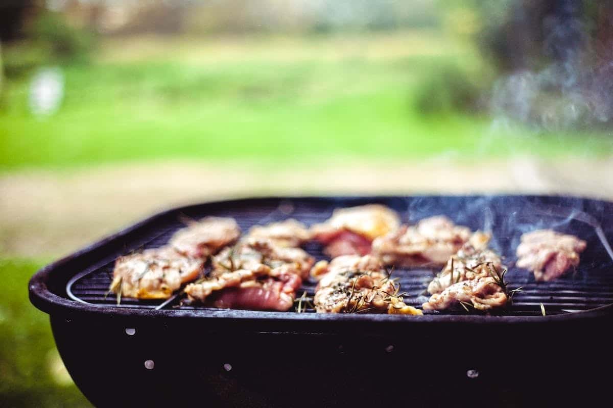 picnic  barbecue