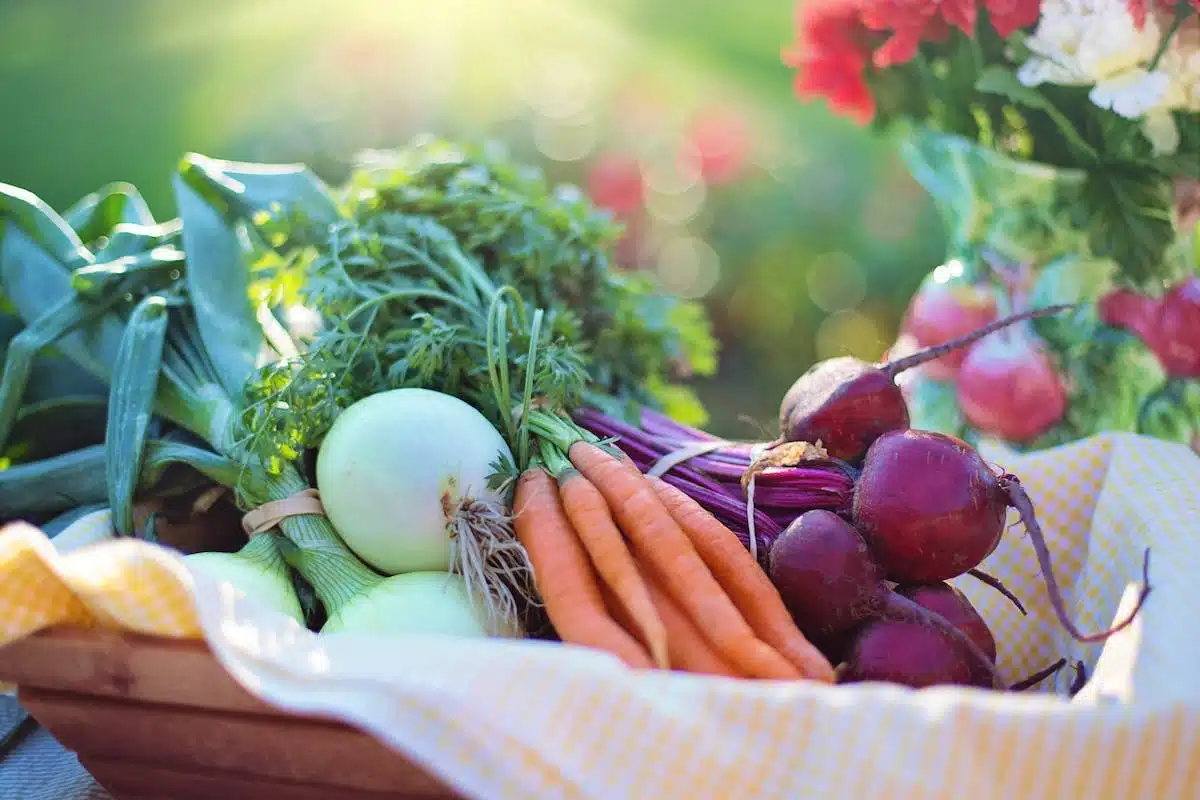 alimentation végétale