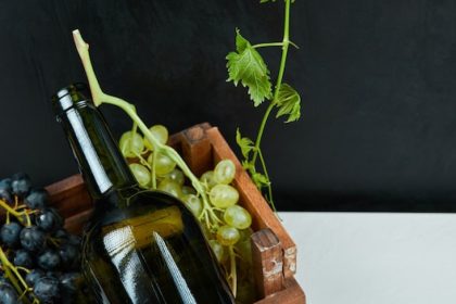Dégustation de vin de Sancerre : conseils pour reconnaître les subtilités du terroir